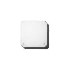 Acaia Pearl Scale