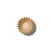 Blue Bottle Coffee Filters on a table